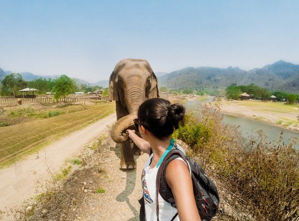 motivos para viajar para a tailandia - elefantes
