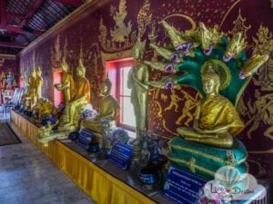motivos para viajar para a tailandia - exotico (7)