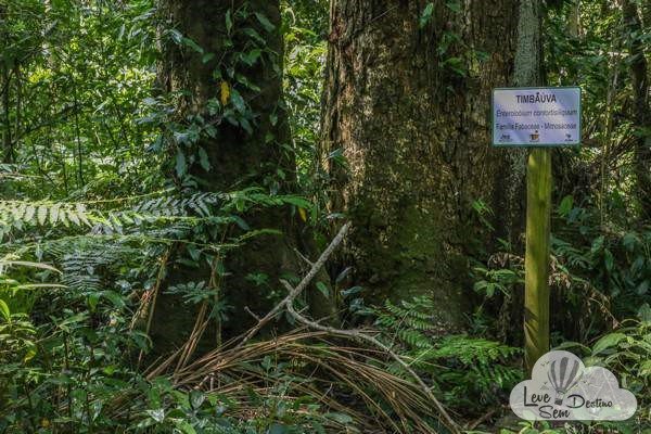 macuco safari - foz do iguacu - cataratas do iguacu - parana - passeio (5)