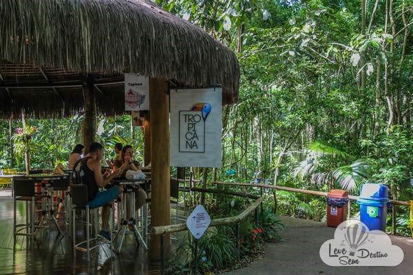 parque das aves - foz do iguacu - cataratas - parana - preservacao - mata atlantica (21)