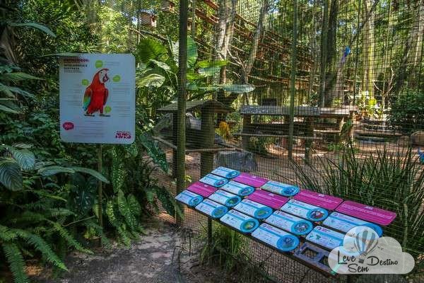parque das aves - foz do iguacu - cataratas - parana - preservacao - mata atlantica (33)