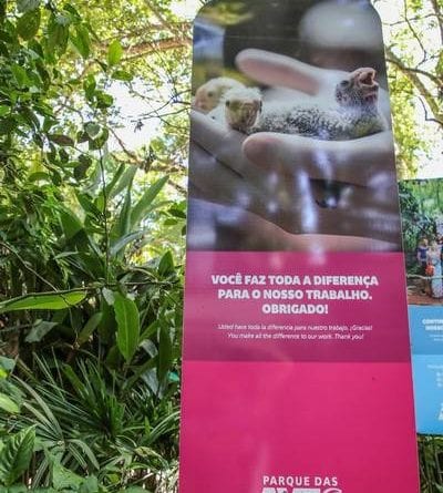 parque das aves - foz do iguacu - cataratas - parana - preservacao - mata atlantica (48)