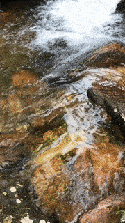 cachoeira dos cristais - chapada dos veadeiros - alto paraiso - goias - cerrado - centro oeste (3)