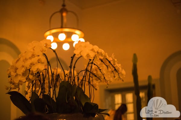 Composição de lustre e plantas no restaurante Chez Beja